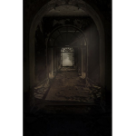 vampire closet
