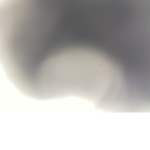 Iceyy128