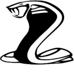 VIPER INDUSTRIES