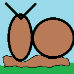 Ślimaki Limaka