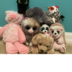 Let’s help the animals
