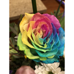 ༄Tea’s Clothes༄