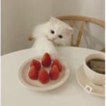 ʚ Madi ɞ