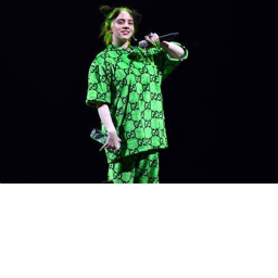Billie Eilish (Hangout)