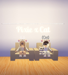 PIXIE X CAT