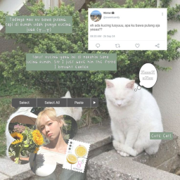 ⸝⸝ 🌿
