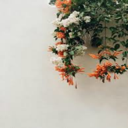 orange aesthetic Roblox decal