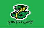 The SsSlIthErY Snakes