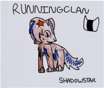 Running Clan ( warrior cats )