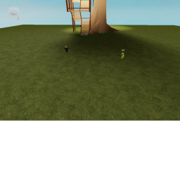 The Chicken Coop