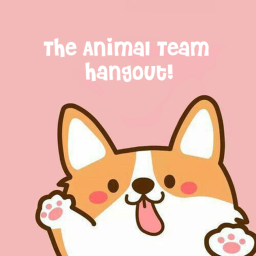 Group Meeting and Hangout!