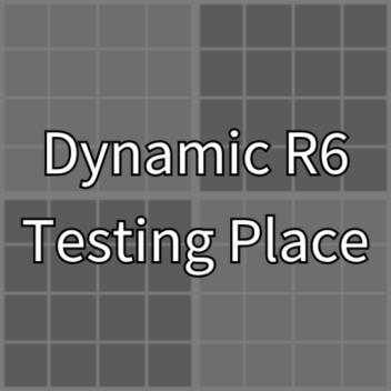Dynamic R6 Testing Place