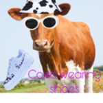 Cows wearing shoes
