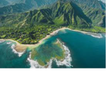 •Hawaiian Vibes•