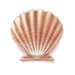 Shiny.seashells