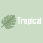 Tropical_Cafe