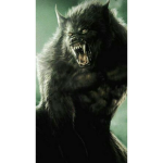 Lobos e lobi so mens