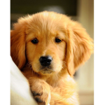friend me and play!!