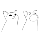 Popcat family :)!