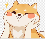 Shiba inu life