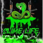¥$LIME GANG¥