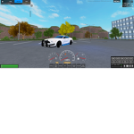 RCPD AND TEXAS STATE POLICE