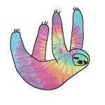 Tye Dye Sloths!