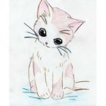 Alleyway kitten