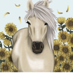 sunny equestrians