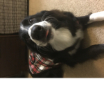 Rosie Army!!!