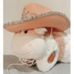 -beachy con-