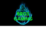 B-Bros Gaming Official Fanclub