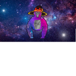 Vikasquad
