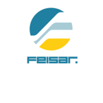 FEISAR