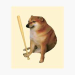 Doge,founder
