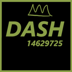 ﾐ dash