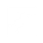 Adrenaline Interactive