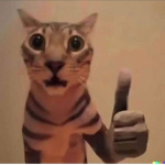 kitty cat !
