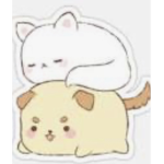catty cats and dogs