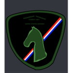 Hazardous Environment Combat Unit (HECU) Marines