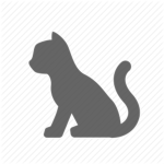 BlackCatStudios