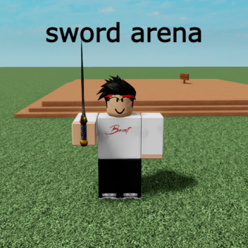 sword arena
