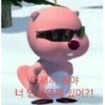 따따 보러 왔어? 킄킄