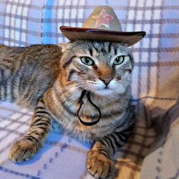 [Develaopment] Goofy cowboy game