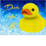 The Ducky’s United