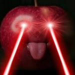 Adam's server