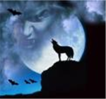 wearwolfs