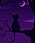 Cute cat gaming