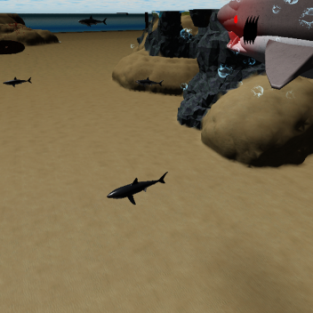 THE RED SEA ( SHARK ATTACKED