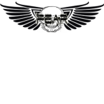 The fifth encounter assult recon